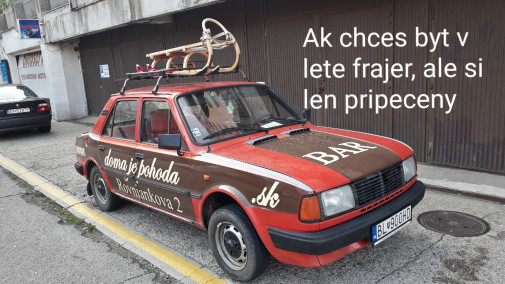 V lete so sankami a lyzami